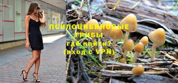 СК Зеленодольск