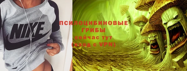 СК Зеленодольск