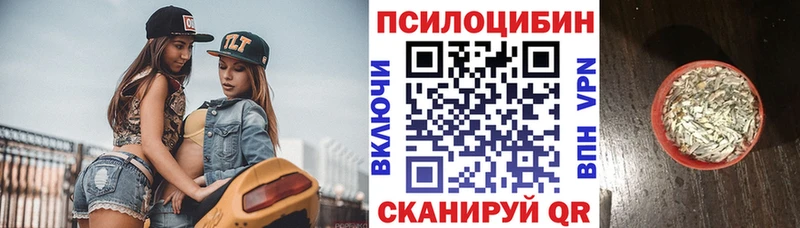 Купить  Любань  Галлюциногенные грибы Psilocybe 